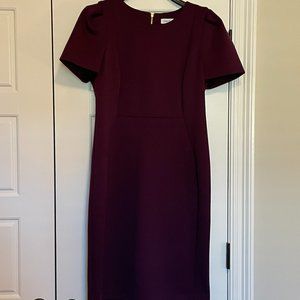 Calvin Klein Burgundy Dress, size 14